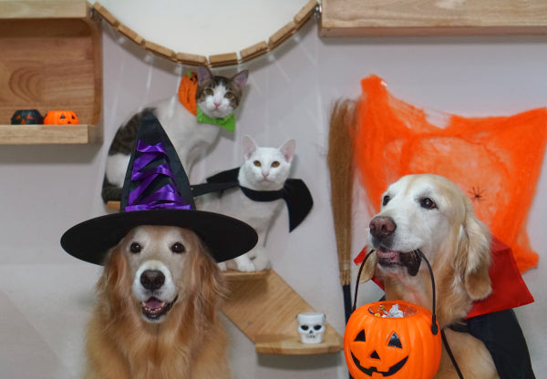 2nd Annual Spooky Halloween Sale! 30% Off One Weekend Only Oct 9th thru Oct 10st 2021