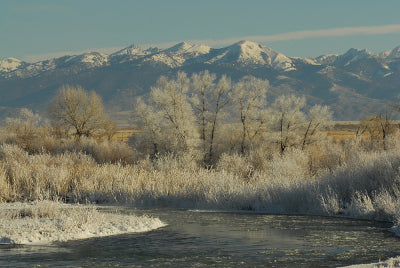 Flatlander Photography "Madison Valley Montana"