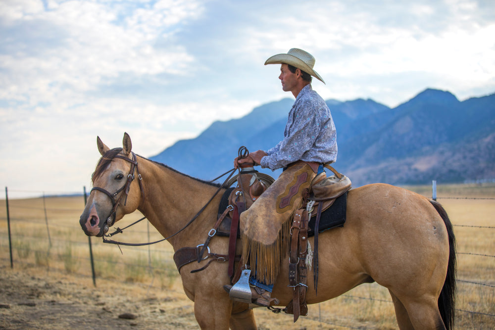 Cowboy related gifts, fabrics and quilt patterns.
