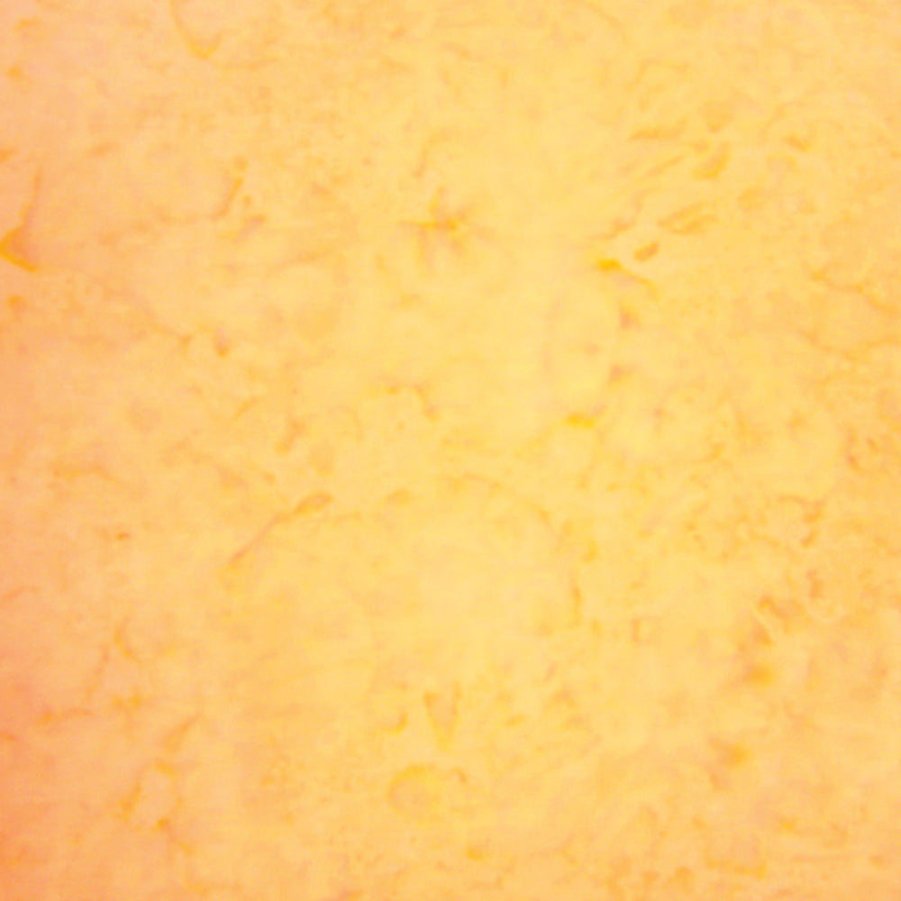 Hoffman Fabrics Watercolors Tutti Fruitti Yellow Batik Fabric 1895-479-Tutti-Fruitti