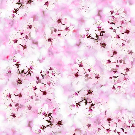 Hoffman Fabrics Dragonfly Dreams Blossom Flower Digital Cotton Fabric R4631-448-Blossom