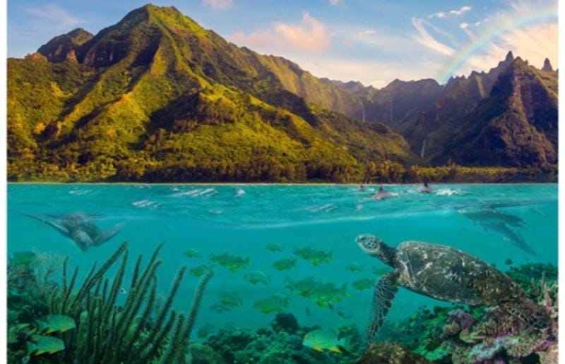 Hoffman Fabrics Call of the Wild Ocean Landscape Cotton Panel R4595-73-Ocean