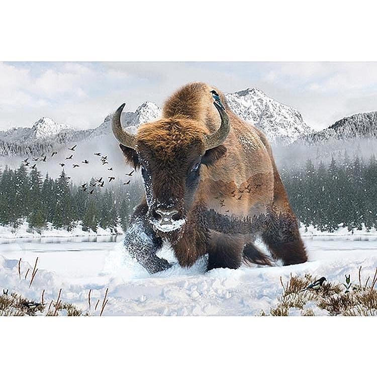 Hoffman Fabrics Call of the Wild Bison Winter Cotton Panel W5376-555-Bison