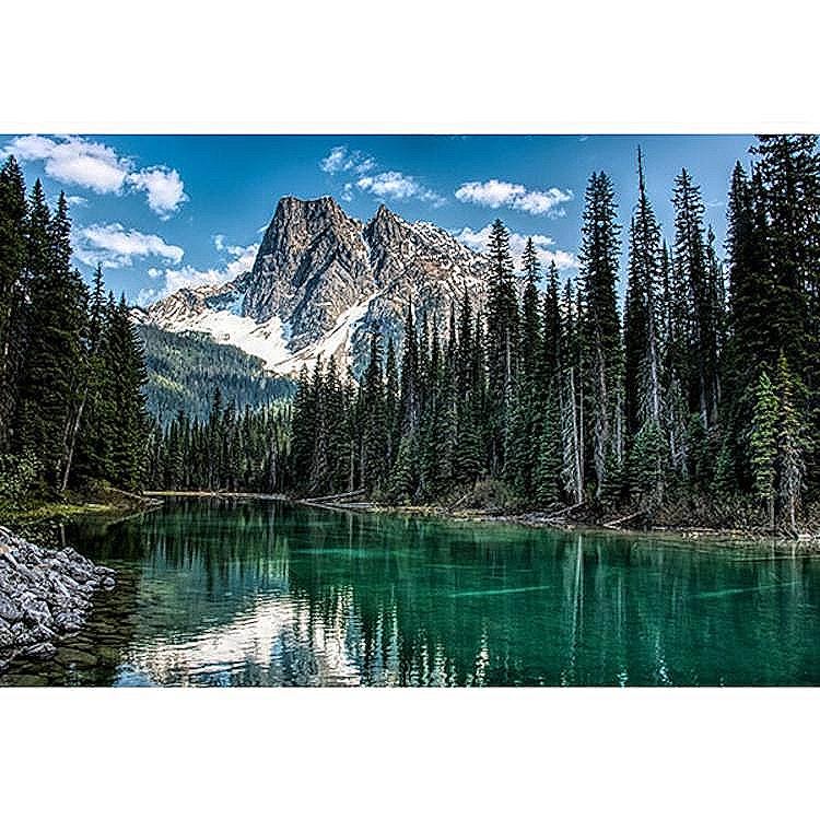 Hoffman Fabrics Call of the Wild Mountain River Cotton Panel W5513-D21-Dusty-Teal