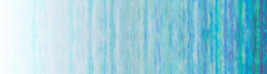 Hoffman Fabrics Fly Home Aqua Ombre Water