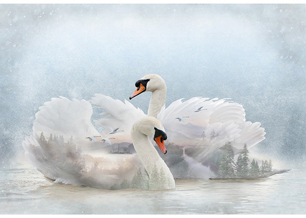 Hoffman Fabrics Call of the Wild Swan Love Cotton Panel S4810-311-Lake