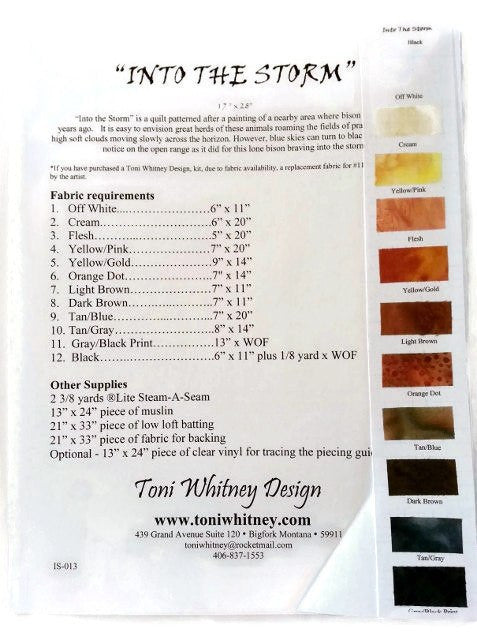 Toni Whitney Design Into the Storm Applique Quilt Pattern