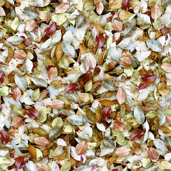 Hoffman Fabrics Call of the Wild August Leaves Fabric Q4542-593-August