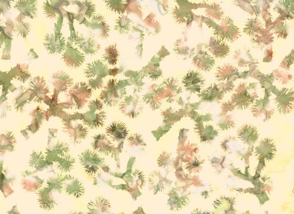 Hoffman Fabrics Buttercream Joshua Tree Batik Fabric S2308-412-Buttercream
