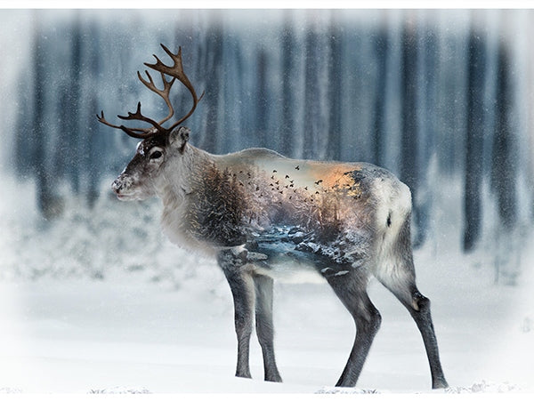 Hoffman Fabrics Call of the Wild Reindeer