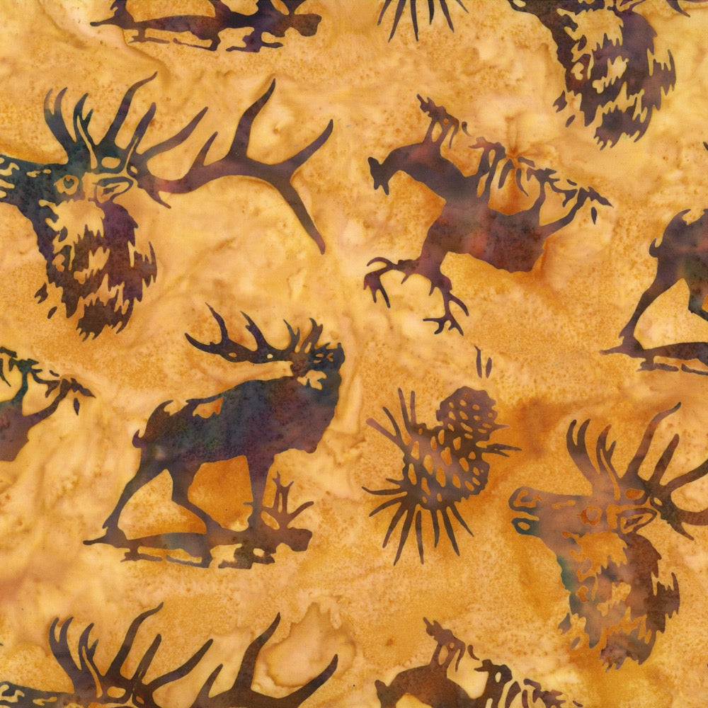 Elk