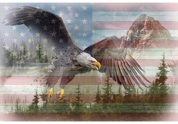 Hoffman Fabrics American Wild Patriotic Bald Eagle Cotton Panel V5215-159-Americana