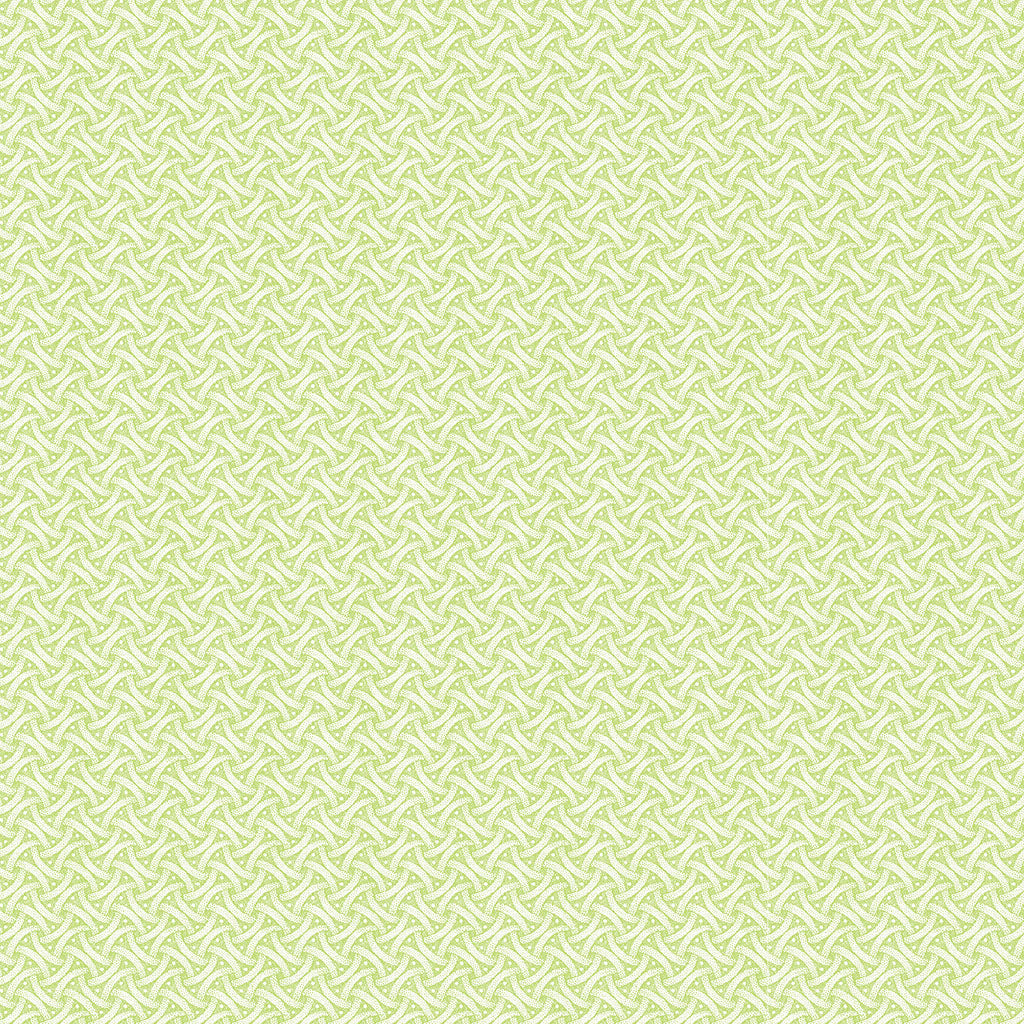 Clothworks Matcha Traditional Quilt Kit using Villa Rosa Designs Domino Five Quilt Pattern