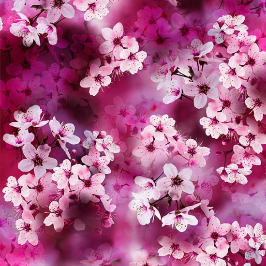 Hoffman Fabrics Dragonfly Dreams Magenta Flower Digital Cotton Fabric R4631-72-Magenta
