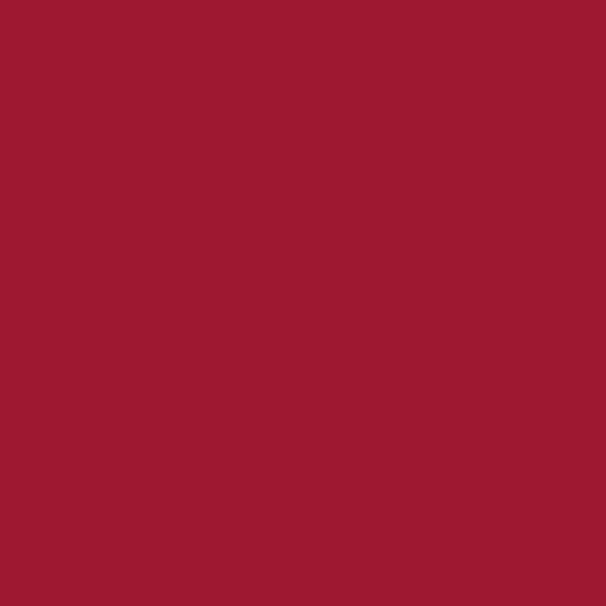 Andover Fabrics Century Solids Redwood Cotton Fat Quarter CS-10-REDWOOD