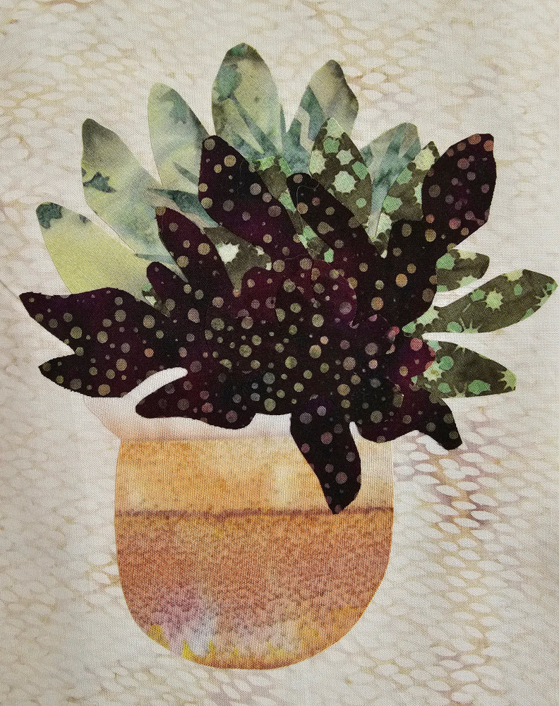 Cactus B
