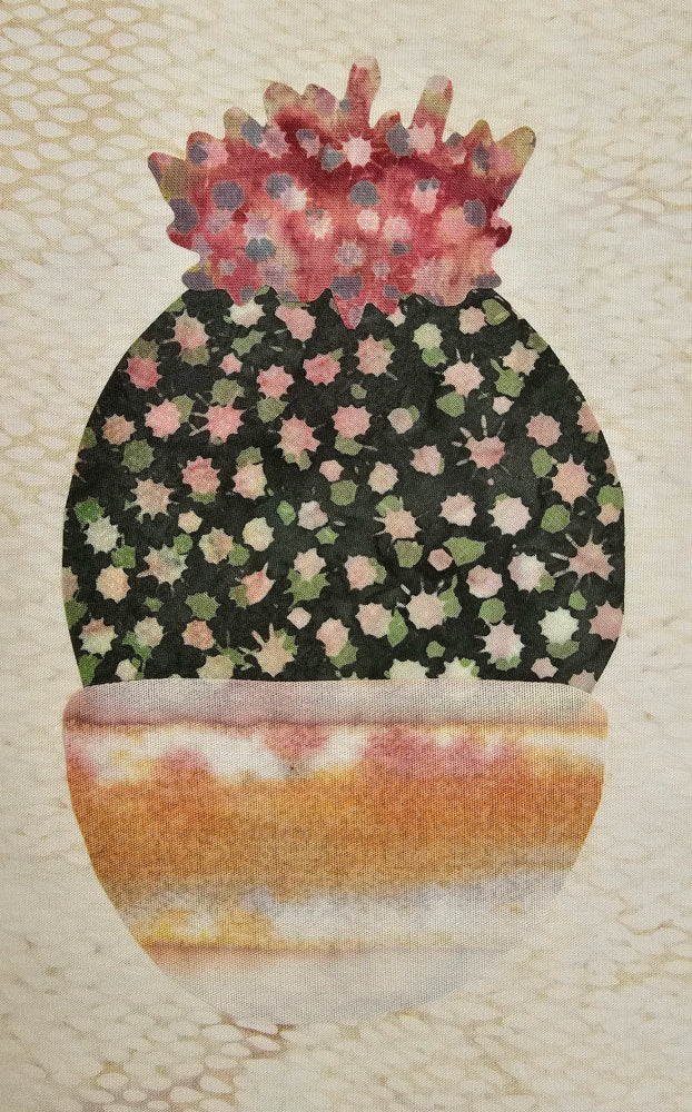 Cactus E
