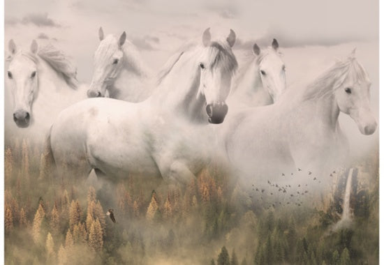 Hoffman Fabrics Call of the Wild White Spirit Horses Cotton Panel R4592-112-Dawn