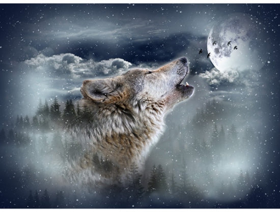 Hoffman Fabrics Call of the Wild Wolf Howling Cotton Panel S4720-524-Moonstruck