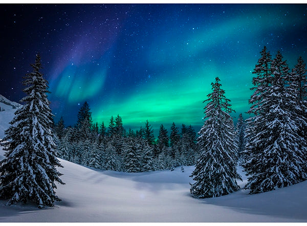Hoffman Fabrics Call of the Wild Aurora Northern Lights Cotton Panel T4860-532-Aurora