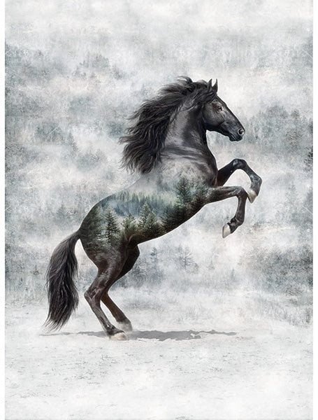 Hoffman Fabrics Call of the Wild Noir Horse Cotton Panel T4861-669-Noir