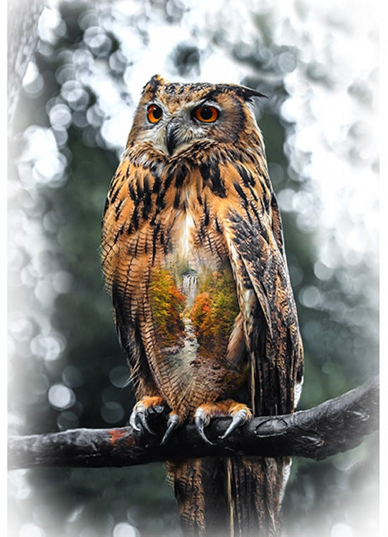 Hoffman Fabrics Call of the Wild Owl Cotton Panel T4908-66-Autumn