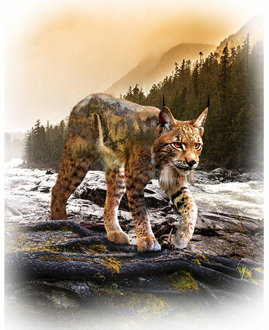 Hoffman Fabrics Call of the Wild Bobcat Cotton Panel T4909-154-Teak