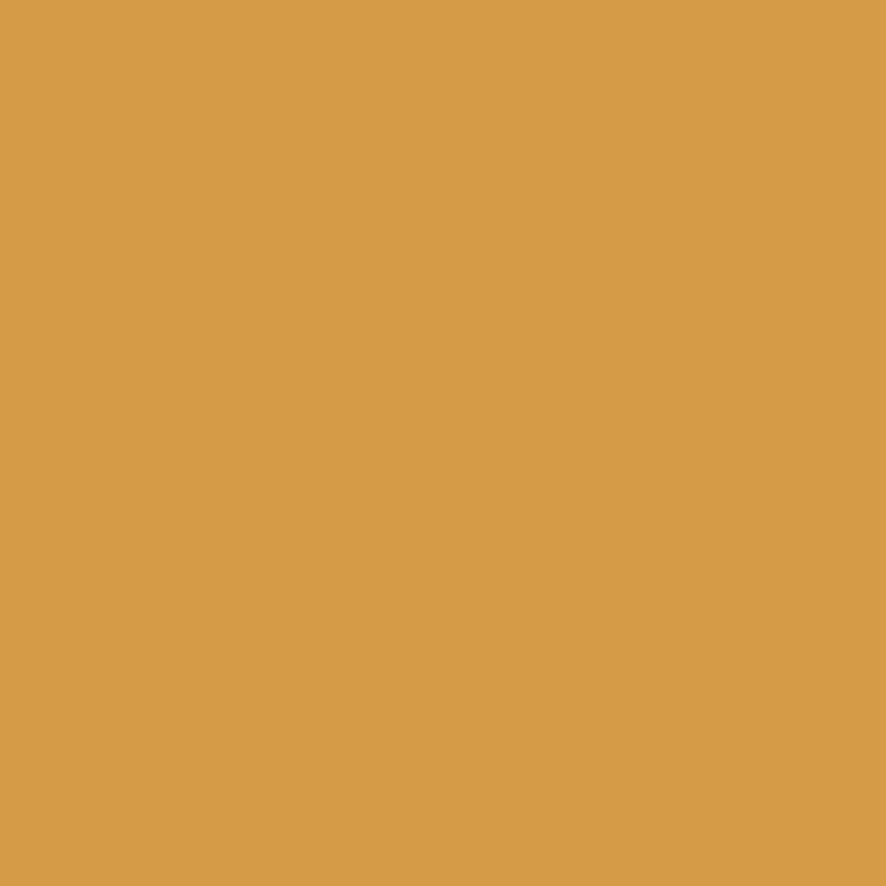 Duckling Beak and Feet
