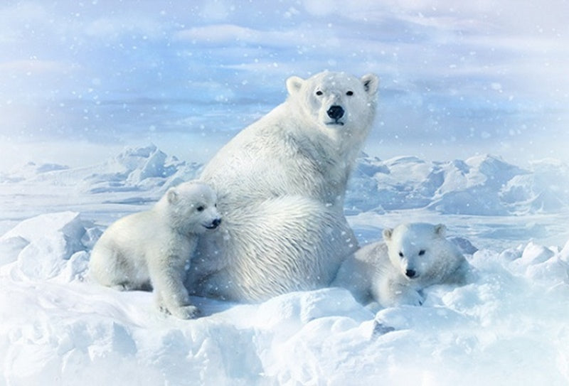 Hoffman Fabrics Call of the Wild Polar Bears Cotton Panel R4560-307-Snow