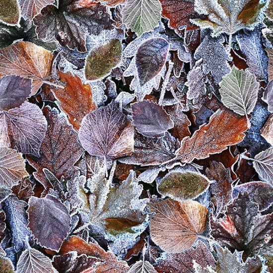 Hoffman Fabrics Fresh Freeze Frosted Leaves S4711-113-Frost